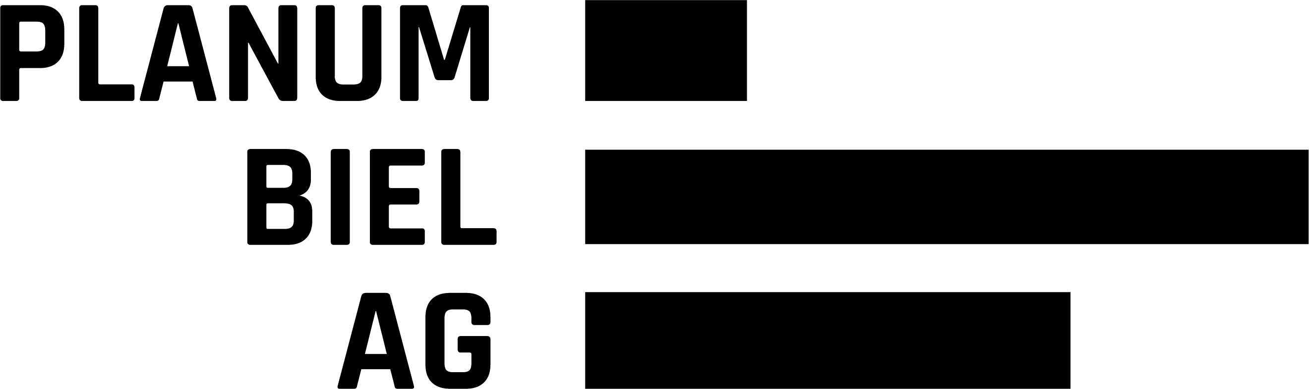 Planum Biel AG